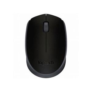 Logitech Mouse  Wireless M171  - Black