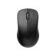 Rapoo Wireless Optical Mouse 1620 - Black